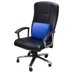 เบาะรองหลัง เบาะเพื่อสุขภาพ Back Support Cushion (Blue)