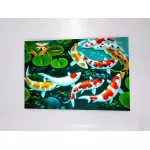 รูปปลาคราฟมงคล 9 ตัวว่ายคู่ดอกบัว รูปปลาคราฟเสริมฮวงจุ้ย รุ่งเรือง เพิ่มบารมี ภาพกรอบลอยพร้อมแขวน