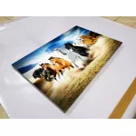 รูปม้ามงคล 8 ตัวพุ่งทยานสู่ความสำเร็จ รูปม้ามงคลติดผนัง รูปม้าปรับฮวงจุ้ย เรียกทรัพย์ เสริมบารมี ภาพกรอบลอยพร้อมแขวน