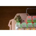 1pc Resin Hand-Made Customized Key Cap 3d Stereoscopic Backlit Metallic Mechanical Keyboard Keycap For Dragon