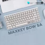 (KBDFans) MAXKEY BOW SA