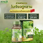 Star Herb Extract from Gynostemma Leaf Extract