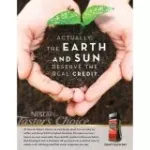 NESCAFE Taster's Choice French Roast (USA Imported) เนสกาแฟ เทสเตอร์ชอยส์ เฟรนโรสต์ 198g.