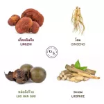 กิฟฟารีน ไบโอ คอฟฟี่ เซเว่น อิน วัน รีดิวซ์ ชูการ์ ( ขนาด 20 ซอง ) !! กาแฟ 7in1 เซเว่นอินวัน กาแฟปรุงสำเร็จ ผสม เห็ดหลินจือ โสม หล่อฮังก้วย ชะเอม