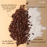 (ขายดี!!) ส่งฟรี!! กาแฟ รอยัลคราวน์ เอส-ลาเต้ Royal Crown S-Latte ไม่มีไขมันทารานส์ ไม่มีน้ำตาล ทางเลือกของคนรักสุขภาพ (1 กล่อง/10ซอง/120บาท)