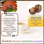 (ขายดี!!) ส่งฟรี!! กาแฟปรุงสำเร็จผสมเห็ดหลินจือสกัด Bio Coffee 7 in 1 Reduced Sugar โสมสกัด,หล่อฮังก้วยสกัด สูตรน้ำตาลน้อย (1กล่อง/20ซอง/300บาท)