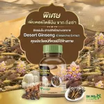 Star Herb, Sandy Ginseng, Desert Ginseng Extract 50 capsules, increased body immunity 50 capsules.