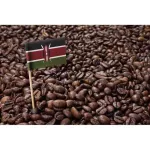 Starbucks Coffee Bean Kenya Medium Roasted (USA Imported) สตาร์บัค เมล็ดกาแฟคั่ว เคนย่า มิเดี่ยมโรสต์ 250g.