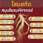 (ขายดี!!) ส่งฟรี!! กาแฟ กาแฟโสม กาแฟกิฟฟารีน กาแฟเพื่อสุขภาพ Coffee Mix Powder กาแฟกิฟฟารีน 3in1 รสชาติอร่อย เข้มข้นหอมกรุ่น (1กล่อง/20ซอง/160บาท)