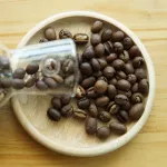 Piberry Seed Doi Mae U -neck