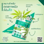 Be&Leaf Acne Serum - บีแอนด์ลีฟ แอคเน่ เซรั่ม เซรั่มบำรุงผิวหน้าแบบซองปริมาณสุทธิ 5 มล. (แบบกล่อง 6 ซอง)