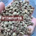 สารกาแฟ อาราบิก้า บ้านปางขอน เชียงราย_ตกเกรด_ขนาด 1 กิโลกรัม