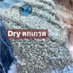 สารกาแฟ อาราบิก้า บ้านปางขอน เชียงราย_ตกเกรด_ขนาด 1 กิโลกรัม