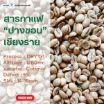 Arabica Coffee, Pang Khon, Chiang Rai - Dry Process - Grade A, 1 kg.