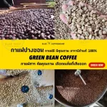 Arabica Coffee, Pang Khon, Chiang Rai - Dry Process - Grade A, 1 kg.