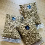 Arabica Coffee, Pang Khon, Chiang Rai - Dry Process - Grade A, 1 kg.