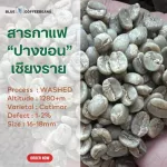 สารกาแฟ อาราบิก้า ปางขอน เชียงราย - Washed Process - เกรดพรีเมียม ขนาด 1 กิโลกรัม