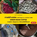 สารกาแฟ อาราบิก้า ปางขอน เชียงราย - Washed Process - เกรดพรีเมียม ขนาด 1 กิโลกรัม
