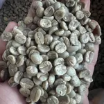 สารกาแฟ อาราบิก้า ปางขอน เชียงราย - Washed Process - เกรดพรีเมียม ขนาด 1 กิโลกรัม