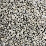 สารกาแฟ อาราบิก้า ปางขอน เชียงราย - Washed Process - เกรดพรีเมียม ขนาด 1 กิโลกรัม