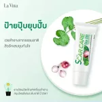 ลาวีต้าสกาแคร์