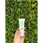 Provamed Organic Aloe Vera Gel โปรวาเมด เจล ว่านหางจระเข้ [50/150 กรัม] [1 หลอด]