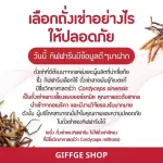 กิฟฟารีน รอยัล คราวน์ ถั่งเช่า ผสม เห็ดหลินจือ ( ขนาด 20 ซอง ) !! สูตรไม่เติมน้ำตาล กาแฟ กาแฟกิฟฟารีน กาแฟสมุนไพร ถั่งเช่า สายพันธุ์ ทิเบต