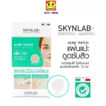 1 sheet of acne laborators, 1 patch, 10 pieces, Skynlab Acne Patch