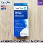 แพนออกซิล แผ่นแปะสิว สำหรับกลางคืน PM Overnight Spot Patches 40 Clear patches (PanOxyl®)