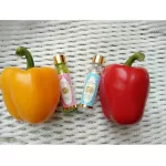 น้ำมันเหลืองไพล ตราบารมี บรรเทาหวัดคัดจมูก แมลงสัตว์กัดต่อย