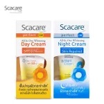Scacare สกาแคร์ เพอร์เฟ็คท์ ออล-อิน-วัน ไวท์เทนนิ่ง เดย์ครีม & ไนท์ครีม ขนาด 30 กรัม ครีมบำรุงหน้า, ครีมกันแดด, Day Cream, Night Cream