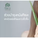 Aloe Vera Infuse Facial Oil 100% aloe vera oil