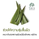 Aloe Vera Infuse Facial Oil 100% aloe vera oil