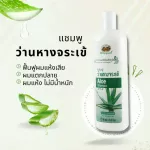 Aloe vera shampoo Aphai Phubbet