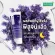 Smooth E Melatonin Sleep Lotion 200ml. - Lotion, lavender Helps to sleep well Relieve stress, juicy skin