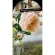 Mistine Domaine de Chantilly Rose Moisture and Perfume Shower 400 ml. Mistin Domain Dejerre Rose Moisturger and Perower 400ml.