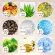 Natural Tree ไบรท์เทนนิ่ง เรสคิว อาย ครีม 30 มล x5  - ของแท้จากไต้หวัน