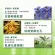 Nature Tree Oil Control Anti -Acne Essence 60ml X4 - Original from Taiwan