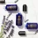 KIEHL'S Midnight Recovery Concentrate 50ml