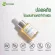 Clear face serum extracted from Centella asiatica-Skin Therabis, Skin Termis