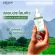 [Free delivery. Fast delivery] Lur Skin Cica Booster Serum 30ml Serum Centella asiatica, reduce acne, reduce acne, oily, rejuvenate, strong skin.