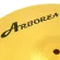 Arborea FH Box Set unfold/Hi -hate 14 "pair + Crash 16" + Ride 20 "Model FH Series + Free Genuine Storage Bag