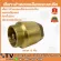 Quarted brass spring valve, 2 inches, waterproof, waterproof, increase pressure in the pipe Quality guarantee