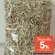 Sue fish, fish, glass, fresh water, dried 50 baht/100 grams, fresh, clean, clean