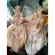 Large dried squid, new, ready to deliver throughout the back With the destination