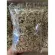 Sue fish, dried glass Do not add salt, not seasoned, weighing 500 grams, has a destination collection service