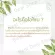 Ozone Ozone Ozone, Glory Hi-002, 1 month warranty.