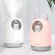 Home Iances USB Humidifier 300ml Cute Pet Ultrasonic Cool Mist Air