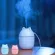 Air Humidifier I L Difr 220ml with USB Plug Mini to Home Spa Car Mist Spray Cartoons Humidifier