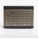 Fender Bluetooth Streaming Speakers - Newport 2 - 2, 4 colors